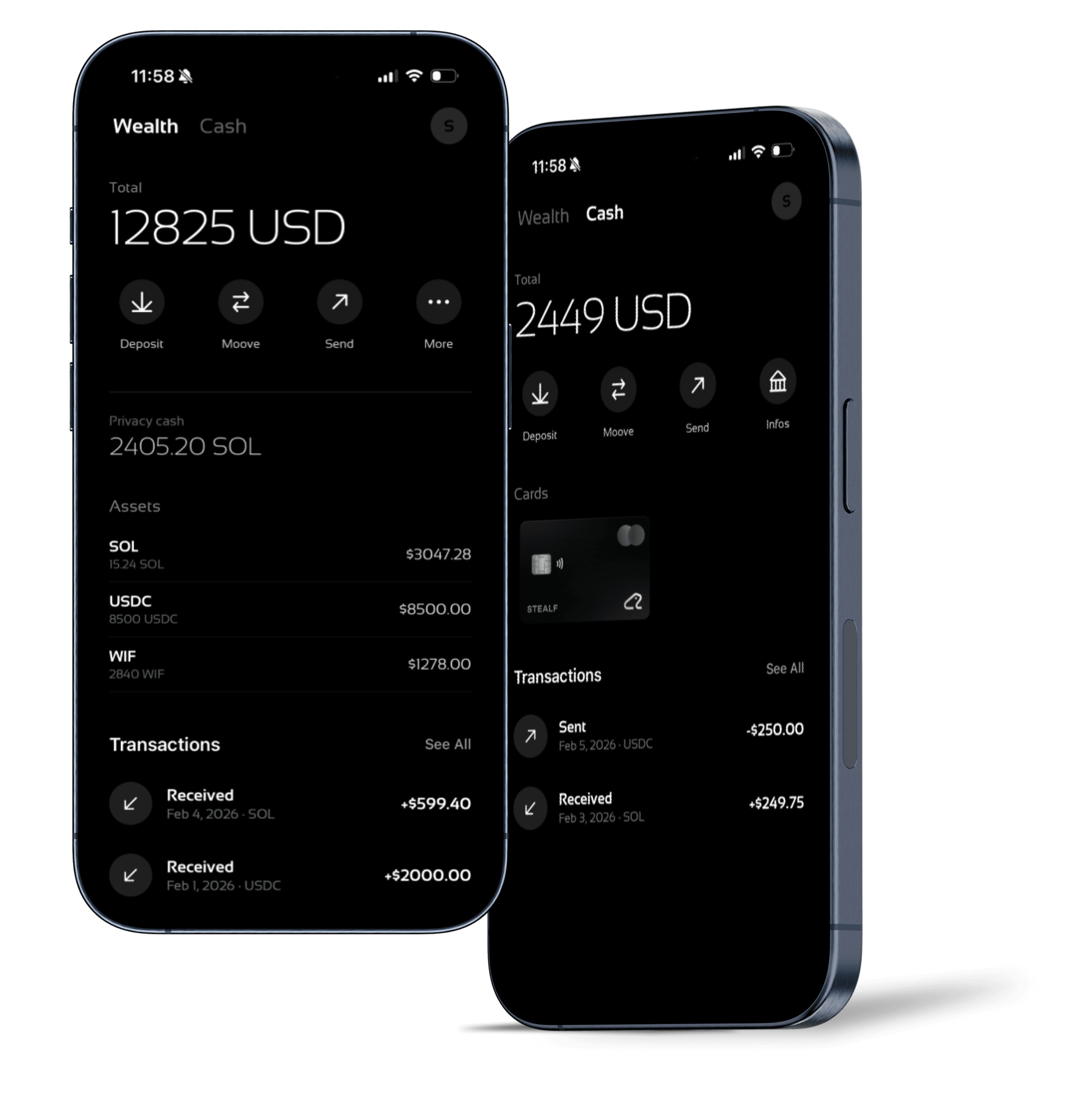 Stealf App Mockup - Cash and Privacy Wallets